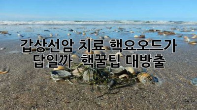 갑상선암 치료, 핵요오드가 답일까? 🤔 핵꿀팁 대방출!