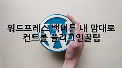 🔙 워드프레스 백버튼, 내 맘대로 컨트롤! #플러그인꿀팁